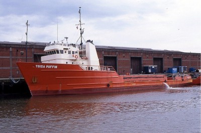 TOISA PUFFIN 220691a.jpg