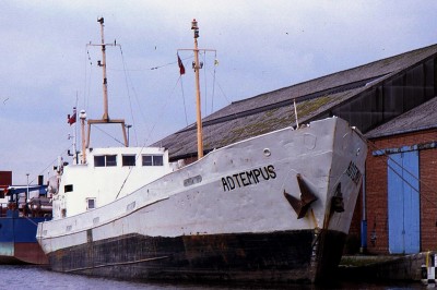 ADTEMPUS 220691a.jpg