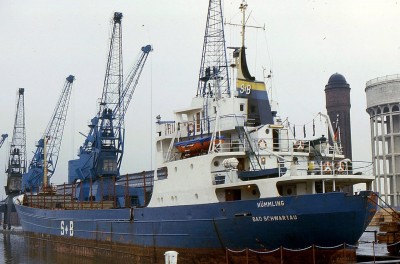 HUMMLING 080486a.jpg