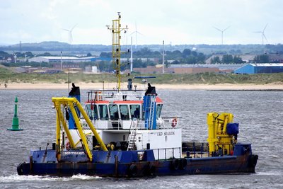 UKD SEALION 150712a.JPG