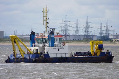 UKD SEALION 150712b.JPG