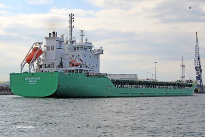 ARKLOW MUSE3.jpg