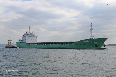 ARKLOW MUSE2.jpg