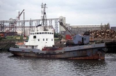 SAND SWALLOW III 120690a.jpg (428.66 KiB) Viewed 16102 times SAND SWALLOW III 120690a.jpg