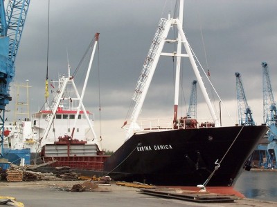 KARINA DANICA(A).jpg