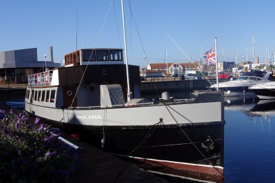 WATCHFUL 190720a.JPG