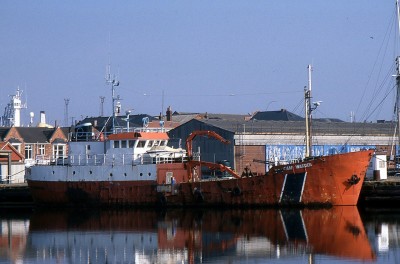 CAM WARDEN 170896a.jpg