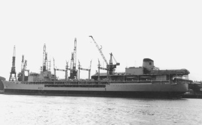 RFA OLNA   .jpg