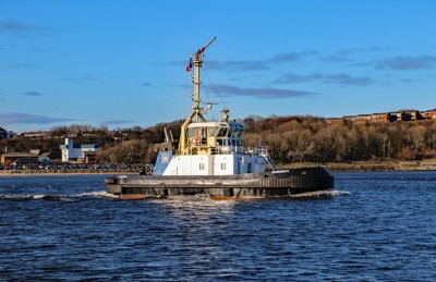 Guardsman, 8521127, 25 January 2021 (1)_1.JPG