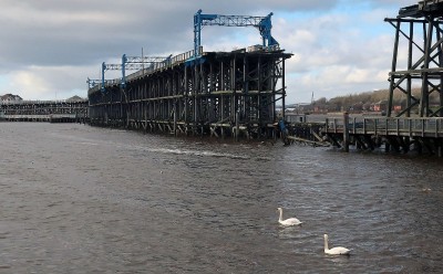 Staithes swans .jpg