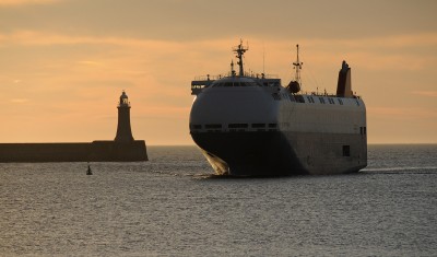 DSC_3030 carrier  Z .jpg