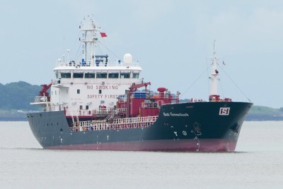 Stolt Greenshank.jpg