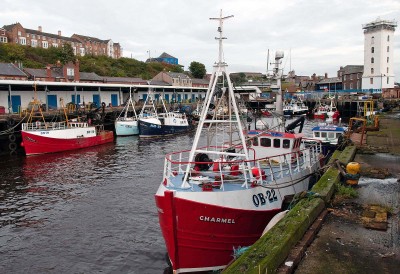 Charmel  (OB22) .jpg