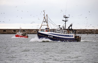 DSC_3538 z _edited-1.jpg