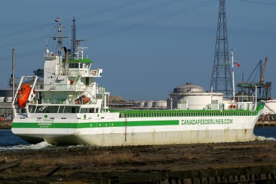 CFL PROMISE 100310f.JPG