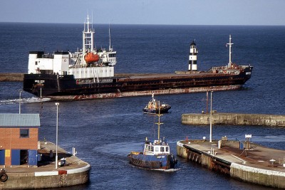 AMUR-2522 160406b.jpg