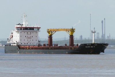 Bulker Bee 11b.jpg