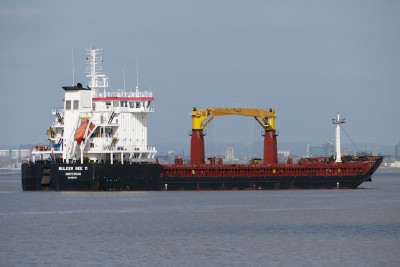 Bulker Bee 11g.jpg