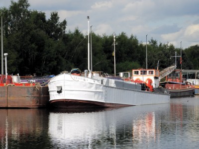 SEAGULL210522Goole.jpg