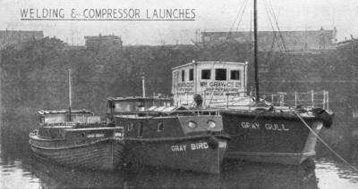 Gray Dove, Gray Bird and Gray Gull.jpg
