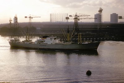 Resize of Ficaria 27031963 36.jpg