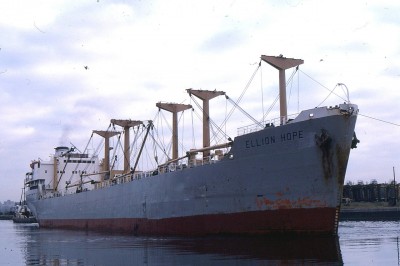 ELLION HOPE 0781a.jpg (241.23 KiB) Viewed 20828 times ELLION HOPE 0781a.jpg