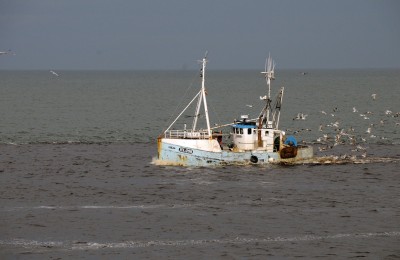 DSC_5393 IVY MAY .jpg