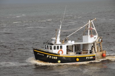 DSC_5467 PALATINE jpg.jpg