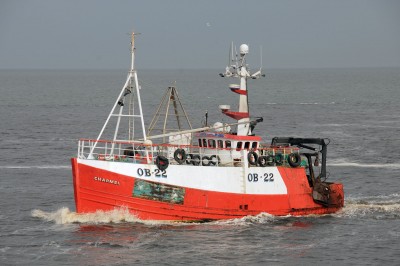 DSC_5469 CHARMEL .jpg