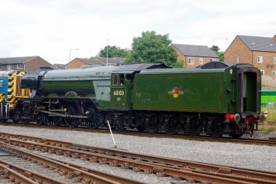 60103 FLYING SCOTSMAN 010816m.JPG
