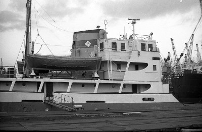 gloria maris 130174.jpg