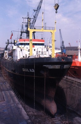 CRISUL ALB 200796a.jpg