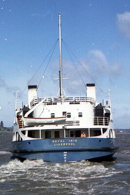 royal iris 060774.jpg