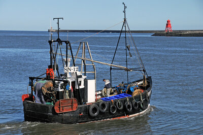 SN12 TRUSTFUL nem.jpg