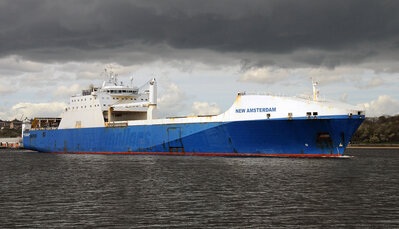 New Amsterdam  nem .jpg