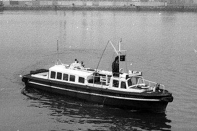 tees commissioner 250475.jpg