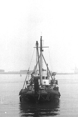 wilton 250475.jpg