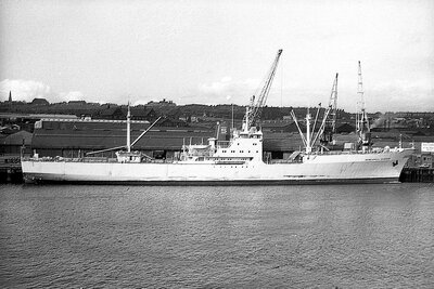 newcastle clipper 010575.jpg