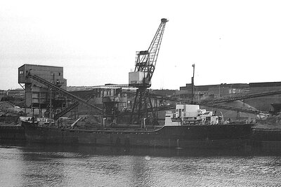 bowprince 170575.jpg