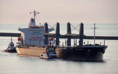 Norse Omishima-1.jpg
