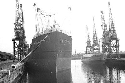 lloyd antuerpia + jana weston 170675 x1.jpg