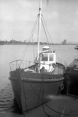 southlander 220675 x1.jpg