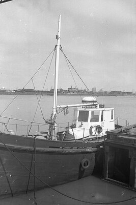 southlander 220675 x2.jpg