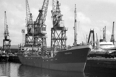 kenrix 290675 x2.jpg