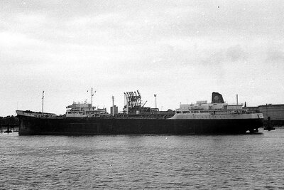 philippia 120775 x1.jpg