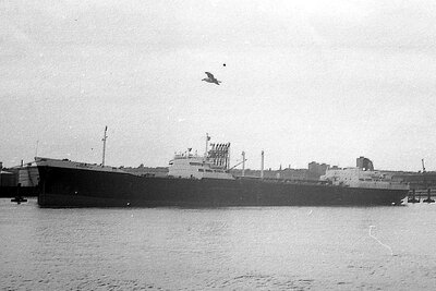 philippia 120775 x2.jpg