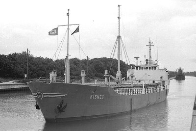 risnes 120775 x1.jpg
