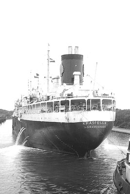 khasiella 120775.jpg