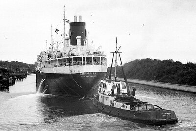 khasiella + m.s.c. scimitar 120775.jpg