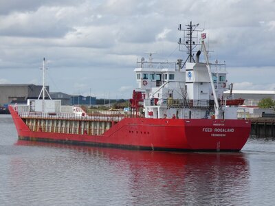 FEED ROGALAND 110825g.JPG